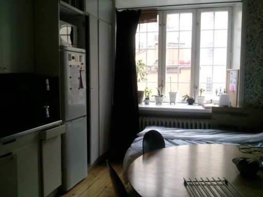 photoDuJour_2010-11-01