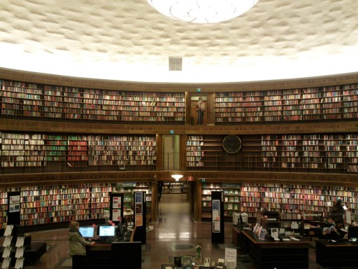 photoDuJour_2010-11-05