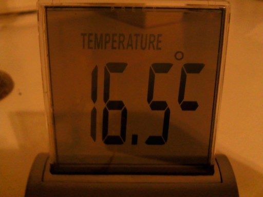 photoDuJour_2010-11-08