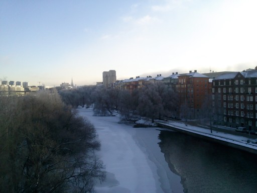 2010-12-01_PhotoDuJour