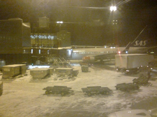 photoDuJour_2011-01-03