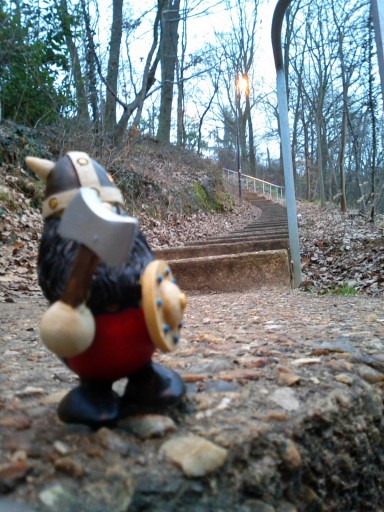 photoDuJour_2011-02-02