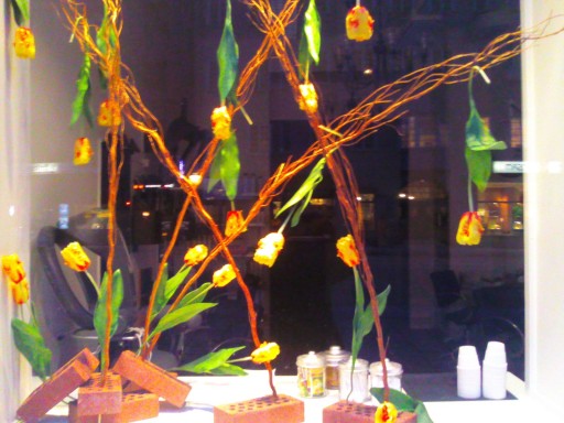 2011-03-16_PhotoDuJour