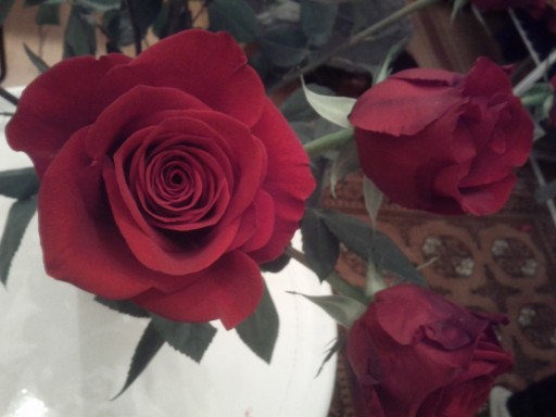 2011-03_04_photo-du-jour_bis