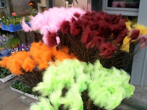 2011-04-01_photo-du-jour