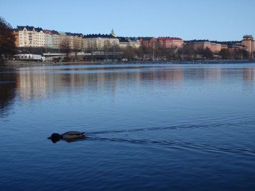 2011-04-10_photo-du-jour-01