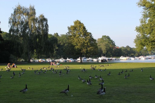 2011-06-11_photo-du-jour-1