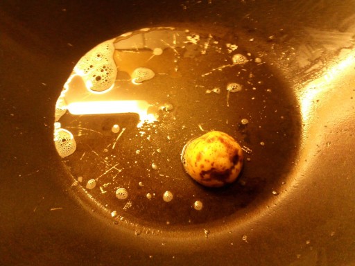 2011-09-01_photo-du-jour