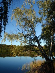 2011-10-01_photo-du-jour-07