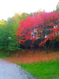 2011-10-01_photo-du-jour-10