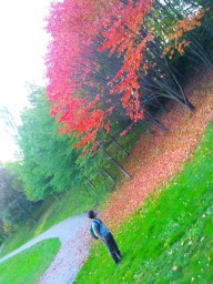 2011-10-01_photo-du-jour-11