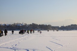 2012-02-04_photo-du-jour-02