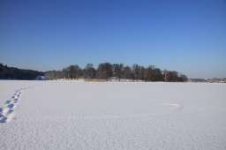 2012-02-04_photo-du-jour-03