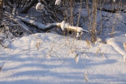 2012-02-04_photo-du-jour-06