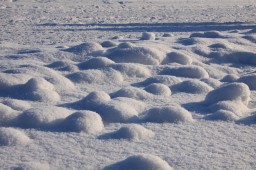 2012-02-04_photo-du-jour-07