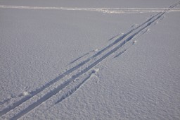 2012-02-04_photo-du-jour-08