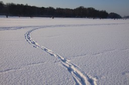 2012-02-04_photo-du-jour-09