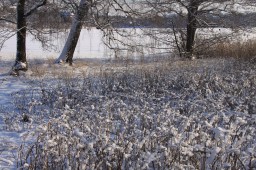 2012-02-04_photo-du-jour-12