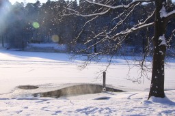 2012-02-04_photo-du-jour-16