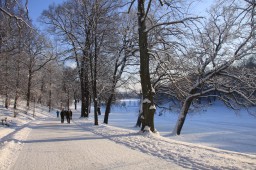 2012-02-04_photo-du-jour-18