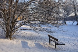 2012-02-04_photo-du-jour-19