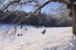 2012-02-04_photo-du-jour-20