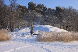 2012-02-04_photo-du-jour-21