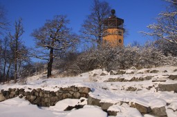 2012-02-04_photo-du-jour-22