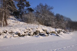 2012-02-04_photo-du-jour-23