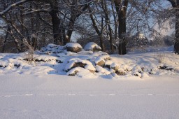 2012-02-04_photo-du-jour-24