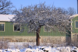 2012-02-04_photo-du-jour-26